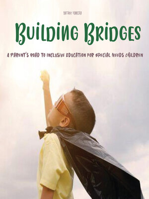 cover image of Building Bridges